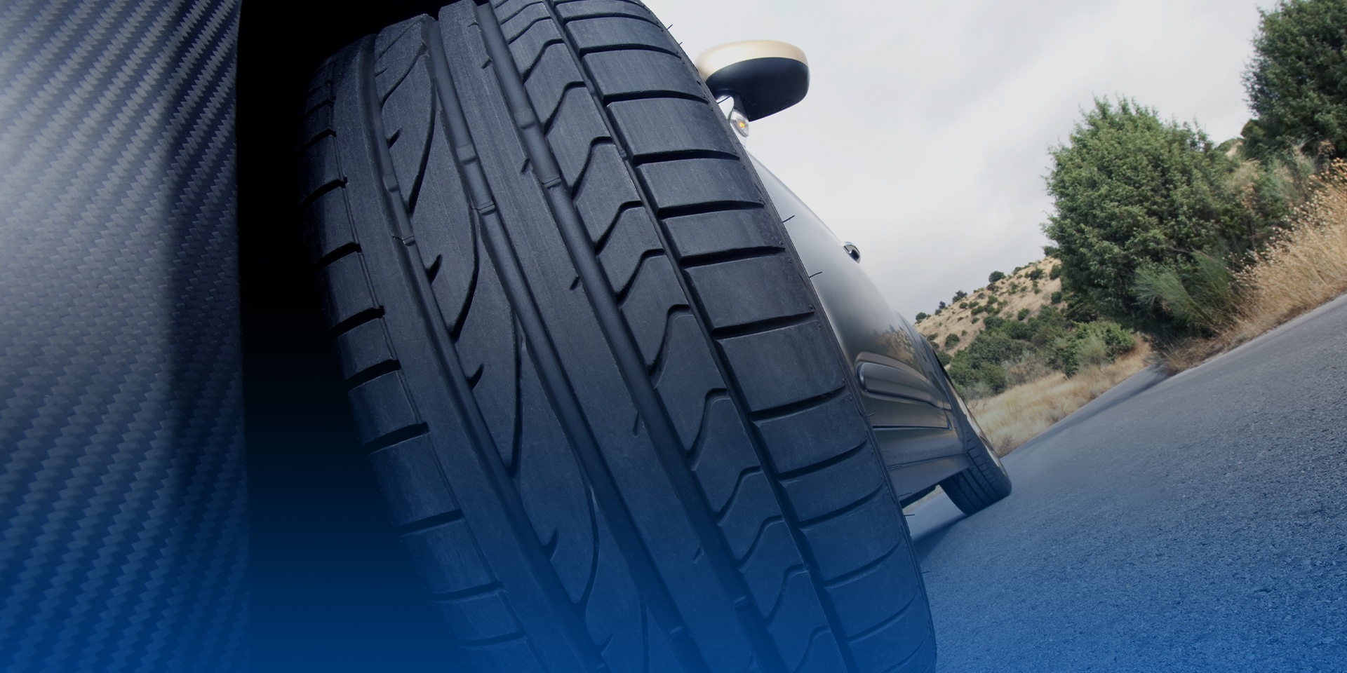 Curtain Cloth Division Products